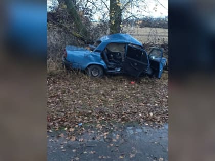 В Воронежской области подросток погиб в ДТП после езды с 16-летним автомобилистом