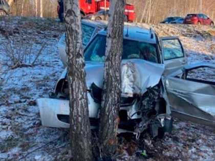 В аварии в Новоусманском районе погибла пенсионерка