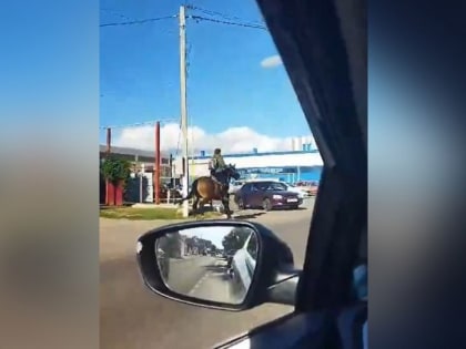 Необычное ДТП с лошадью и «Ладой Калиной» сняли на видео в Воронежской области