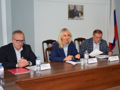 Автоматизированная система налогообложения в Воронежской области