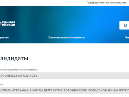 «Единая Россия» опубликовала список участников праймериз на довыборы в Воронежскую гордуму