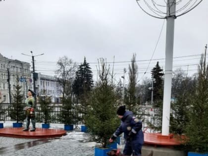 В новогоднюю ночь родители потеряли сына на площади Ленина в Воронеже