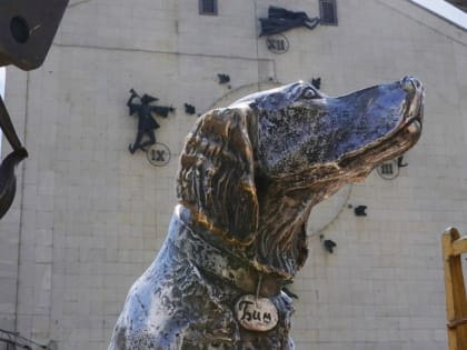 Памятник Белому Биму в Воронеже перевезли с проспекта Революции