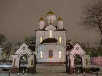 Правящий Архиерей возглавил богослужение в воронежском храме в честь Рождества Христова