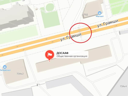 «Пешеходов просто не&nbsp;видно». Воронежцы просят обратить внимание на&nbsp;опасную зебру на&nbsp;Грамши