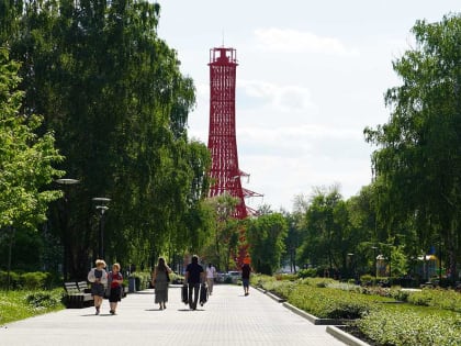 В Воронеже не обойдут вниманием проигравших в онлайн-голосовании