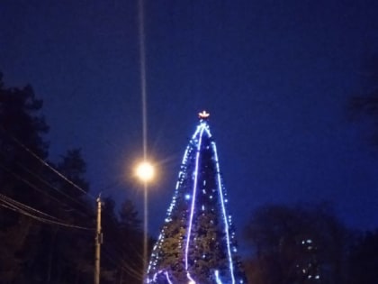 Воронежцы пожаловались на&nbsp;«пизанскую» ёлку в&nbsp;парке «Танаис»