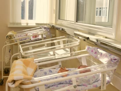 Закрытие роддомов в Воронеже: новые вызовы для медицины и демографии