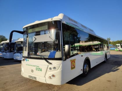 В Воронеже на линию вышли большие автобусы