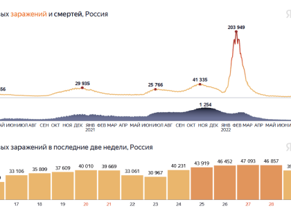 В Воронежской области за сутки скончались 3 пациента с COVID-19