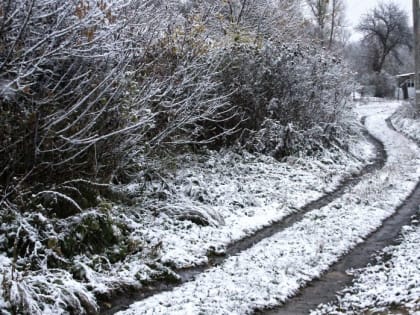 Дожди и мокрый снег вернутся в Воронежскую область