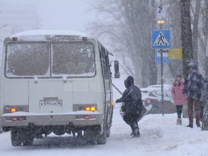 «Я думала, его больше нет». Редкий маршрут превратился в призрачный в Воронеже