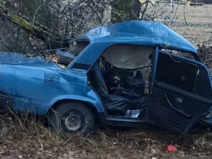 В Воронежской области в ДТП при столкновении с деревом погиб 15-летний парень