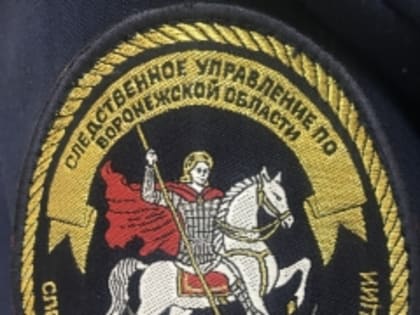 Следователи СК проводят проверку по сообщению в соцмедиа о ненадлежащем оказании медицинских услуг местной жительнице в воронежской клинике