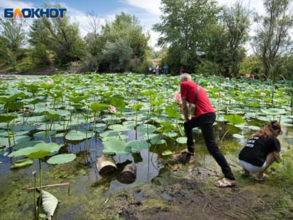 Стало известно, сколько в Воронеже зарабатывают инженеры-экологи