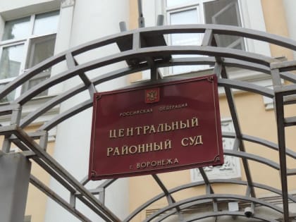 Совершившая смертельное ДТП с велосипедистом жительница Воронежа избежала ответственности