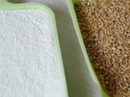 В Воронеже начали производить органические муку и отруби