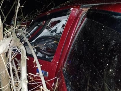 Автомобилист погиб в ночном ДТП с фурой на М-4 «Дон»