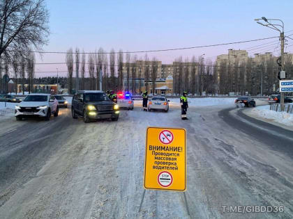 ГИБДД проведёт рейды на&nbsp;дорогах в&nbsp;Воронеже