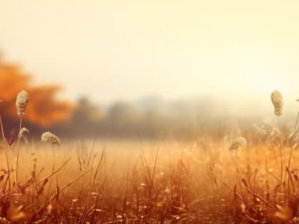 Взрыв из-за обстрела ВСУ прогремел в Черноземье