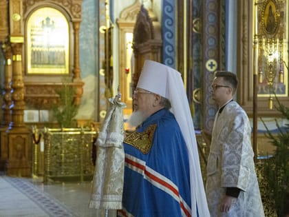 В праздник Крещения Господня митрополит Воронежский и Лискинский Сергий возглавил торжественное богослужение в Благовещенском кафедральном соборе