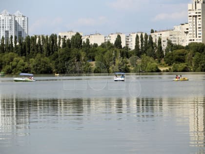 Выяснилось, что&nbsp;стало причиной едкого запаха гари в&nbsp;Воронеже