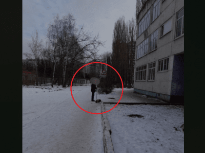 «День начинается с дерьма». Воронежцы пожаловались на заваленный собачьими фекалиями двор школы
