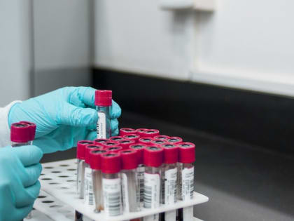 В Воронежской области в 2022-м зарегистрировали 25 очагов коронавируса