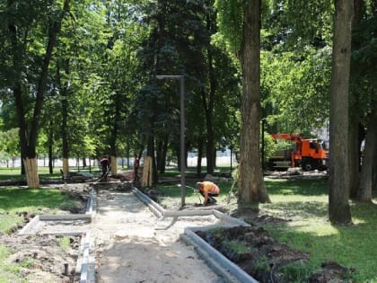 В сквере имени Бунина в Воронеже высадят сосны и розы