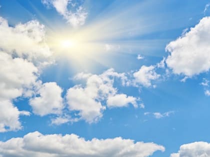 Палящую жару разбавят дожди в конце рабочей недели в Воронежской области