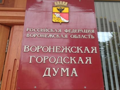 В бюджете Воронежа предусмотрели средства на выкуп детсада на 9 Января