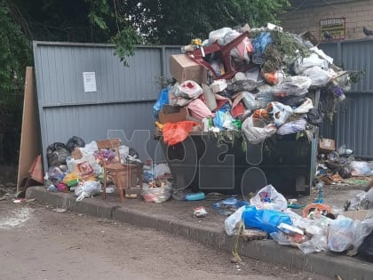 «Дети находят трупы животных, которые соседи выбрасывают в нашу мусорку»