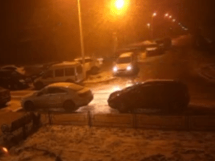 Вопиющий случай безответственности к братьям меньшим попал на видео в Воронеже