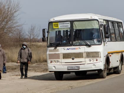 В Воронежской области опубликовали список междугородних автобусов с бесплатным проездом