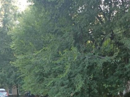 «Зато во&nbsp;дворе ручей!» Воронежцы пожаловались на&nbsp;отсутствие воды в&nbsp;адскую жару