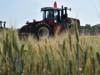 Рекордная крепость