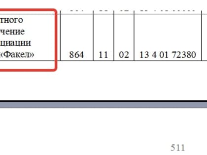 В бюджете области-2024 символически увеличены расходы на содержание воронежского «Факела»