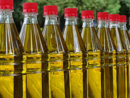 Стали известны условия покупки воронежского завода Bunge скандально известным министром