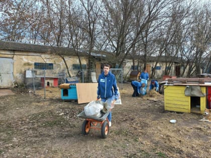 Воронежские молодогвардейцы помогли приюту для животных «Друзья»