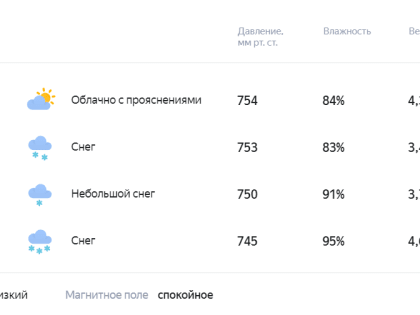 Погода 13 февраля в Новой Усмани будет облачной с прояснениями и снежной