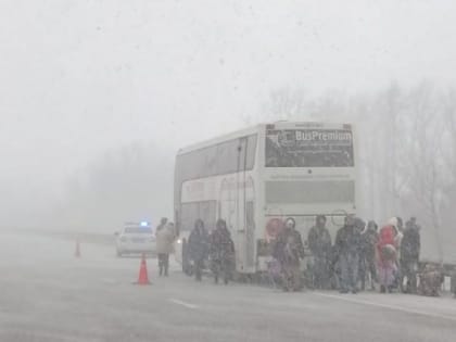 Воронежские полицейские выручили 65 пассажиров автобуса, попавших в ДТП