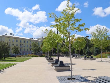 Необычный звук потряс Воронеж