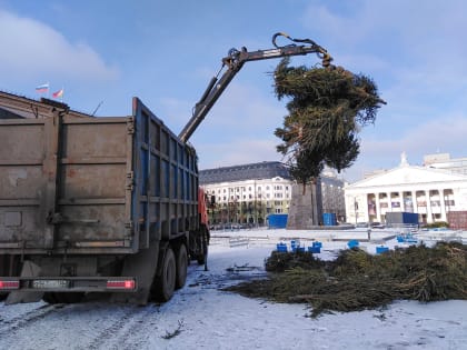 С площади Ленина в рамках демонтажа новогоднего оформления были вывезены на переработку хвойные деревья