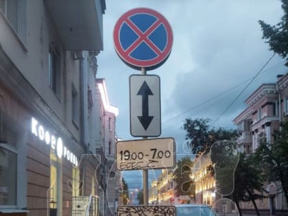 «Можно головой в&nbsp;него врубиться!» Воронежцы удивлены странной установкой дорожного знака&nbsp;