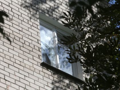 Заявление о поддержке здоровья населения