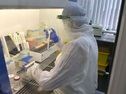 Коронавирусом заразились еще 33 жителя Воронежской области