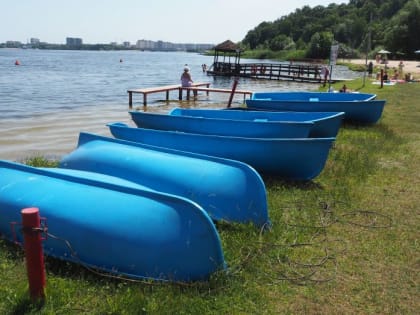 Возбудитель холеры обнаружили санитарные врачи в Воронежском водохранилище