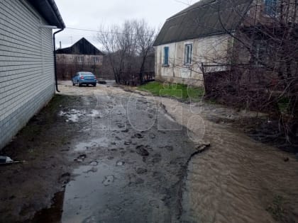 Жилые дома подтопило под Воронежем