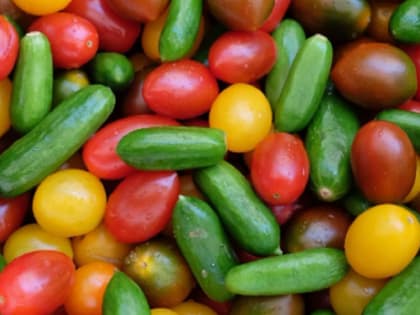 В Воронежской области продолжают расти цены на помидоры и огурцы