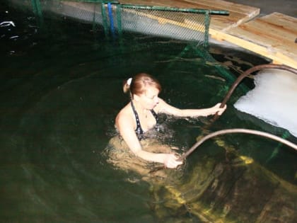 Где можно окунуться в прорубь на Крещение в Воронеже